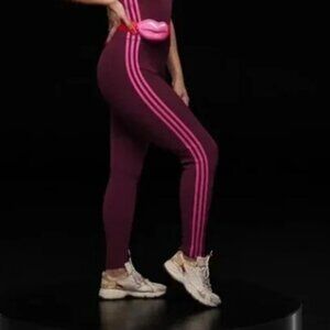 Adidas x Ivy Park Cherry Wood Knit Pants Leggings 2X